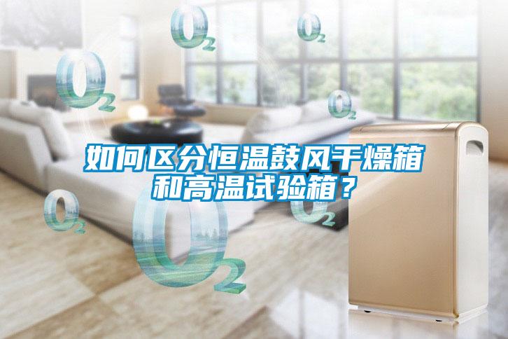 如何區(qū)分恒溫鼓風(fēng)干燥箱和高溫試驗(yàn)箱？