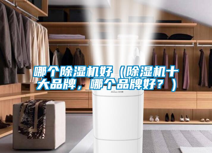 哪個除濕機好（除濕機十大品牌，哪個品牌好？）