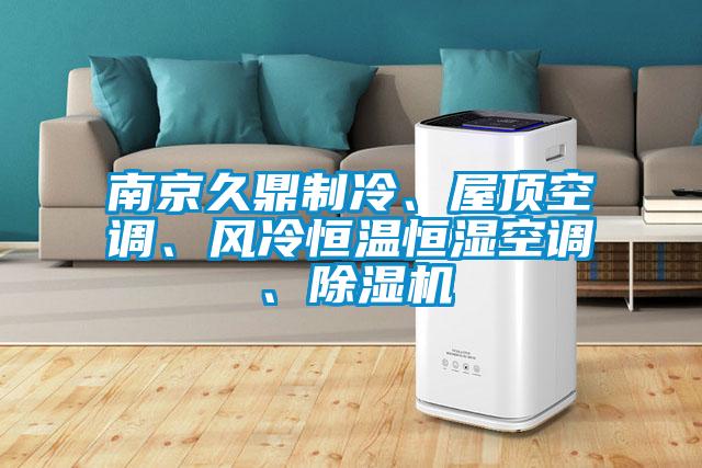 南京久鼎制冷、屋頂空調、風冷恒溫恒濕空調、除濕機