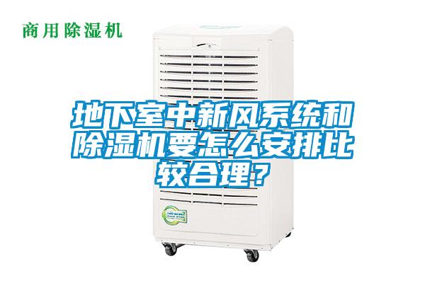 地下室中新風(fēng)系統(tǒng)和除濕機(jī)要怎么安排比較合理？
