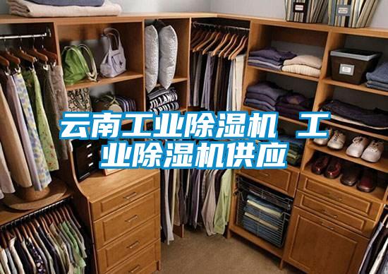 云南工業(yè)除濕機(jī) 工業(yè)除濕機(jī)供應(yīng)