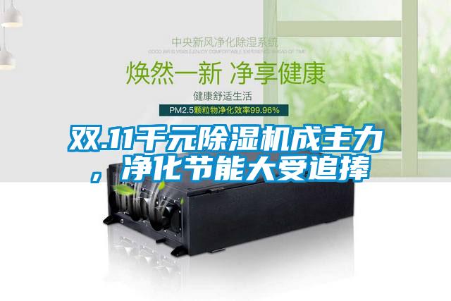 雙.11千元除濕機(jī)成主力，凈化節(jié)能大受追捧