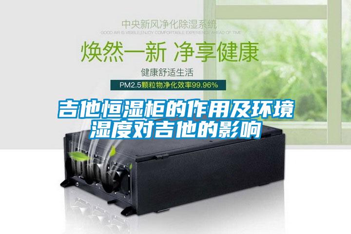 吉他恒濕柜的作用及環境濕度對吉他的影響