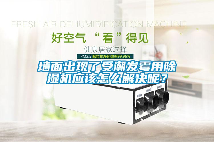 墻面出現了受潮發霉用除濕機應該怎么解決呢？