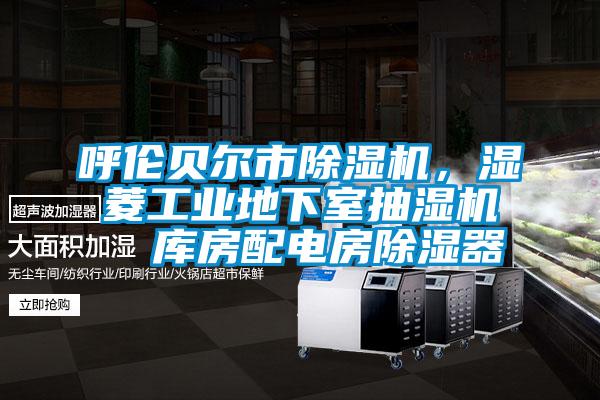 呼倫貝爾市除濕機，濕菱工業(yè)地下室抽濕機  庫房配電房除濕器