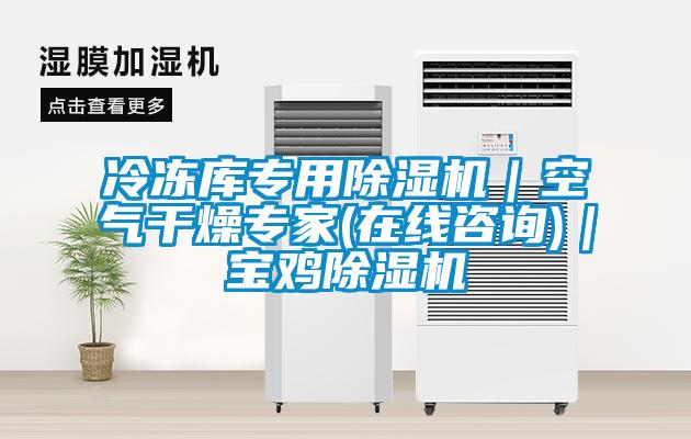 冷凍庫專用除濕機(jī)｜空氣干燥專家(在線咨詢)｜寶雞除濕機(jī)