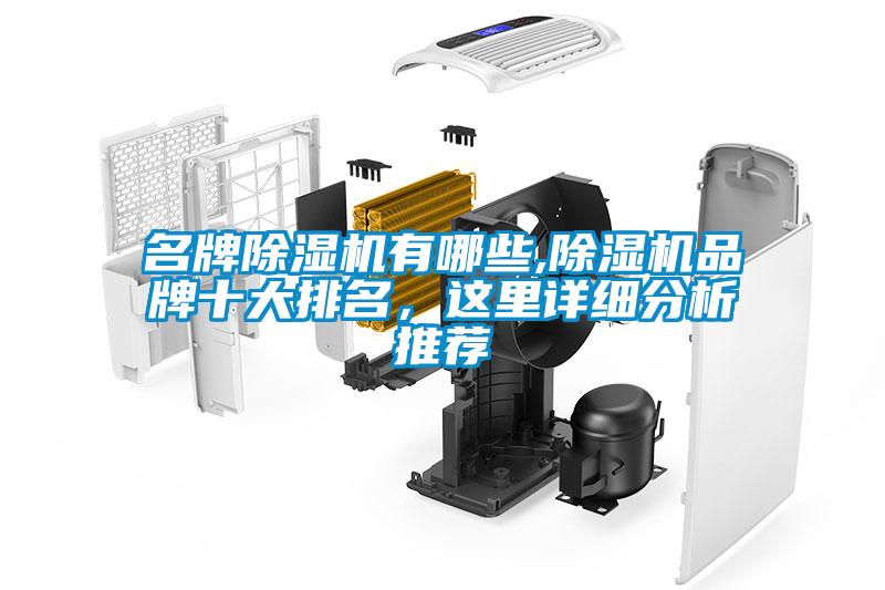 名牌除濕機(jī)有哪些,除濕機(jī)品牌十大排名，這里詳細(xì)分析推薦