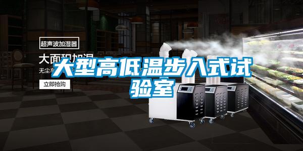 大型高低溫步入式試驗(yàn)室