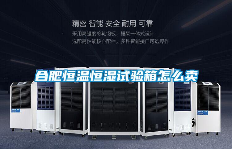 合肥恒溫恒濕試驗(yàn)箱怎么賣