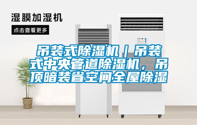 吊裝式除濕機(jī)｜吊裝式中央管道除濕機(jī)，吊頂暗裝省空間全屋除濕