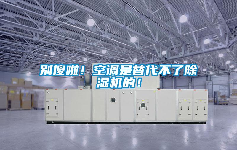 別傻啦！空調(diào)是替代不了除濕機(jī)的！