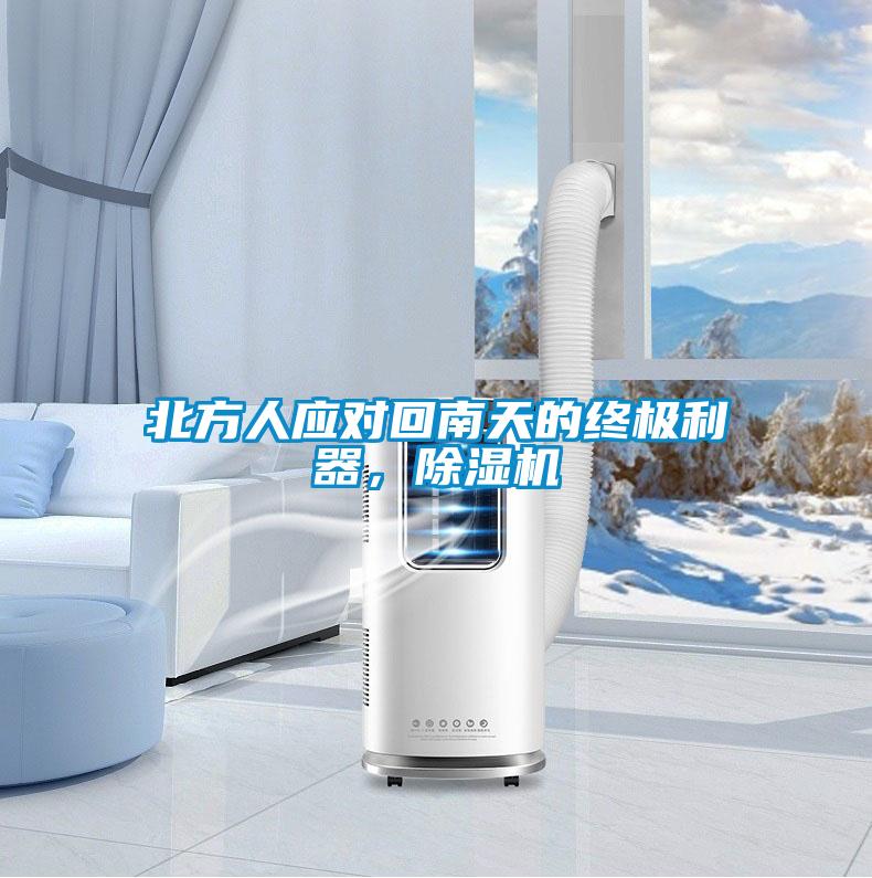北方人應(yīng)對(duì)回南天的終極利器，除濕機(jī)