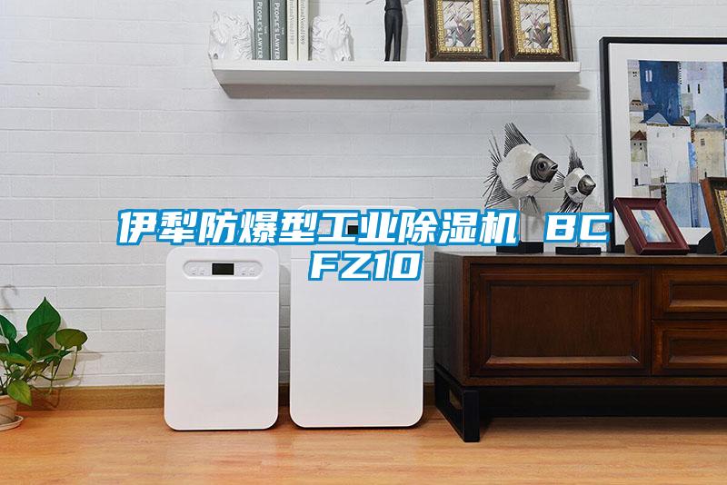 伊犁防爆型工業(yè)除濕機(jī) BCFZ10