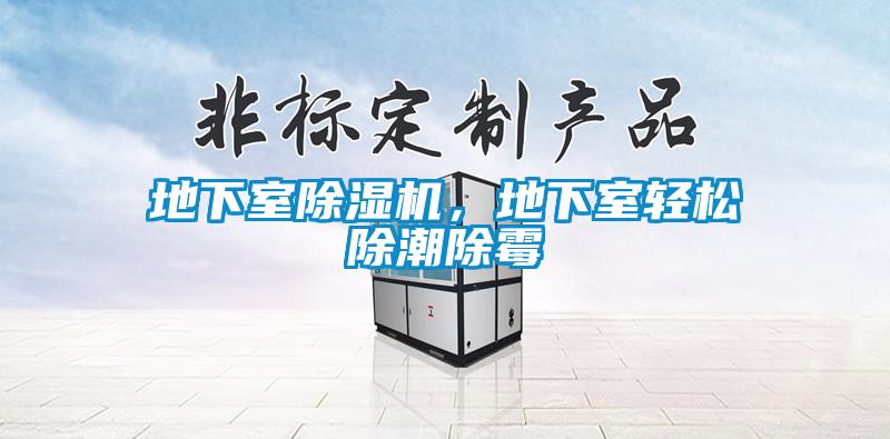 地下室除濕機，地下室輕松除潮除霉
