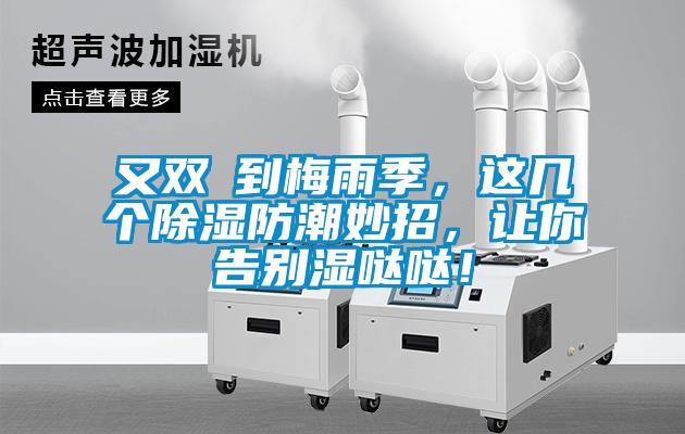 又雙叒到梅雨季，這幾個(gè)除濕防潮妙招，讓你告別濕噠噠！