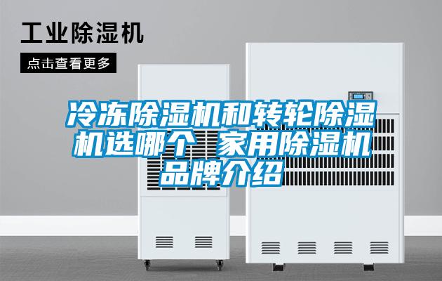 冷凍除濕機和轉輪除濕機選哪個 家用除濕機品牌介紹