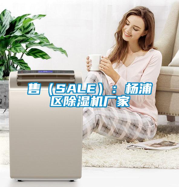 售（SALE）：楊浦區(qū)除濕機廠家