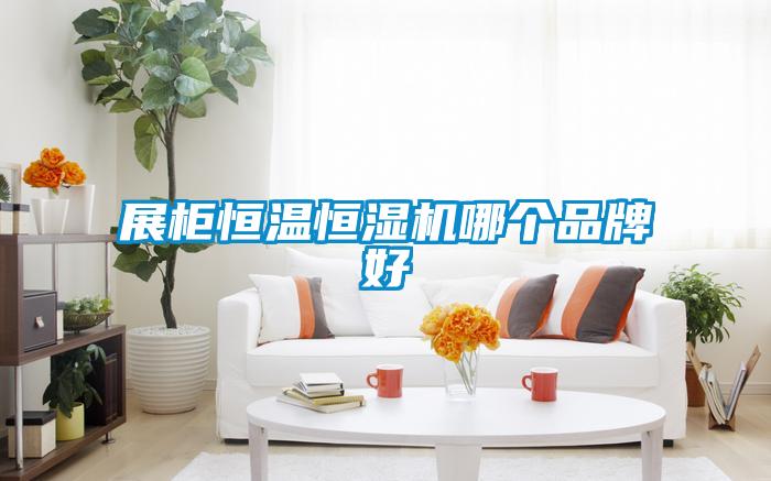 展柜恒溫恒濕機(jī)哪個(gè)品牌好
