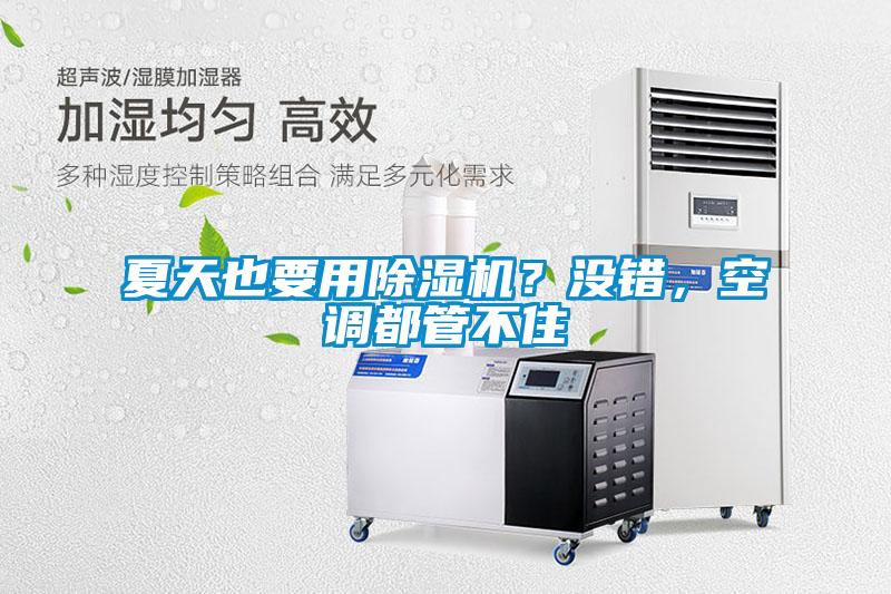 夏天也要用除濕機(jī)？沒錯(cuò)，空調(diào)都管不住