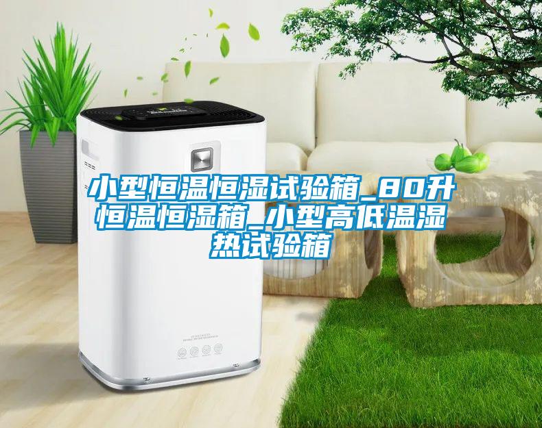 小型恒溫恒濕試驗(yàn)箱_80升恒溫恒濕箱_小型高低溫濕熱試驗(yàn)箱