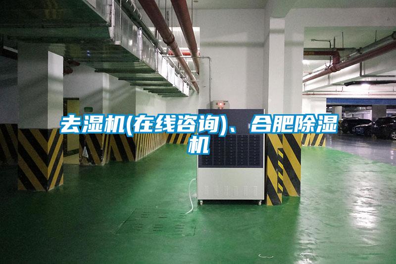 去濕機(在線咨詢)、合肥除濕機