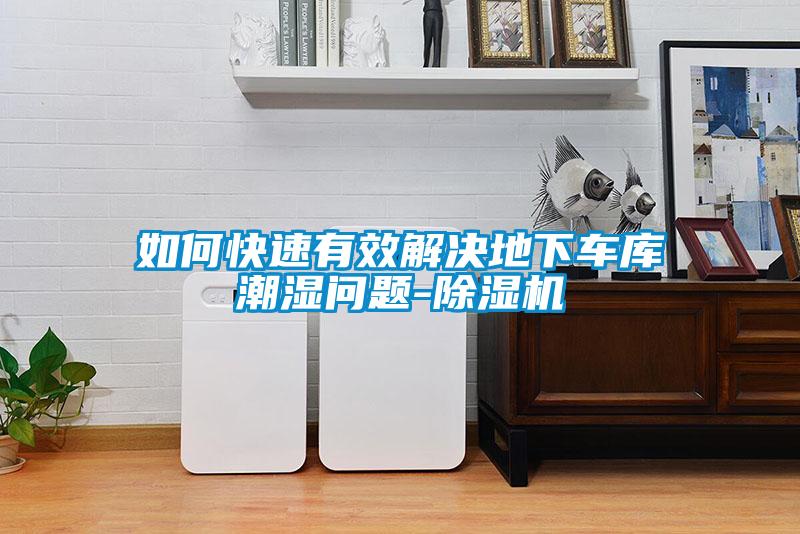 如何快速有效解決地下車庫潮濕問題-除濕機