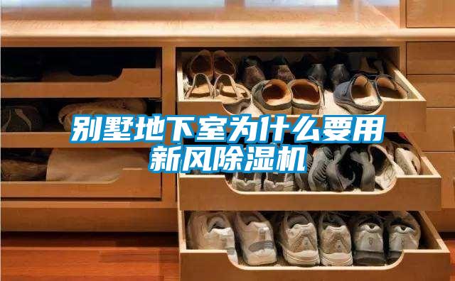 別墅地下室為什么要用新風(fēng)除濕機
