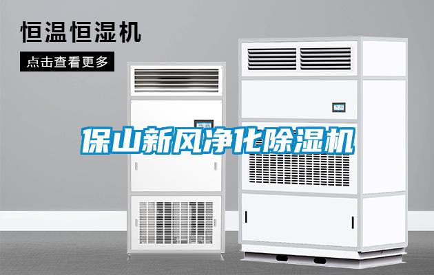 保山新風(fēng)凈化除濕機