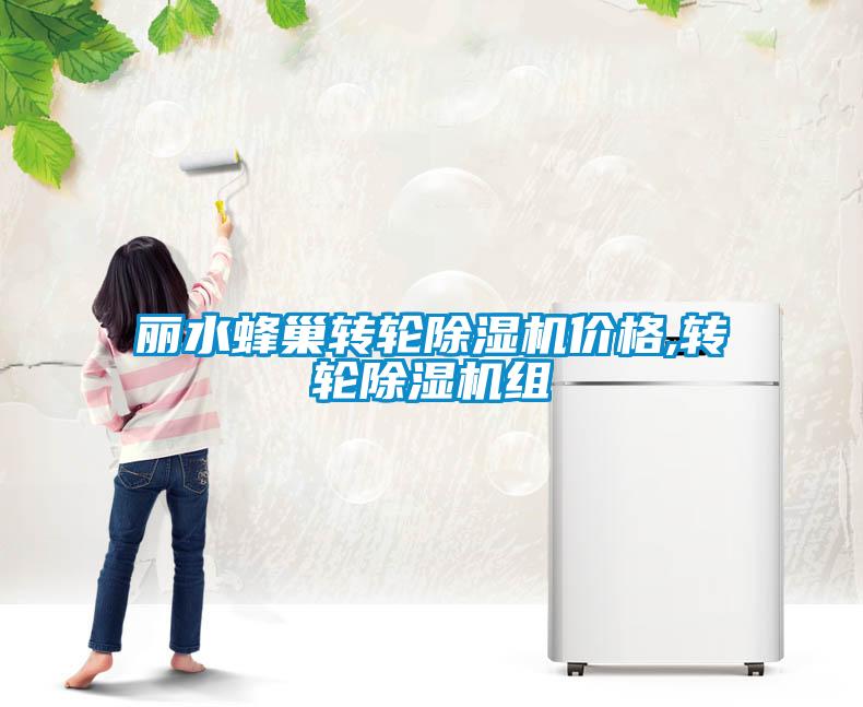 麗水蜂巢轉(zhuǎn)輪除濕機(jī)價(jià)格,轉(zhuǎn)輪除濕機(jī)組