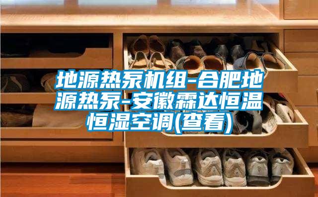 地源熱泵機組-合肥地源熱泵-安徽霖達恒溫恒濕空調(diào)(查看)