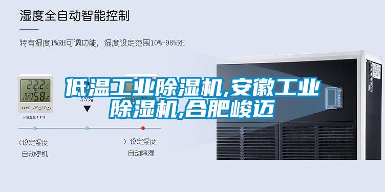 低溫工業除濕機,安徽工業除濕機,合肥峻邁