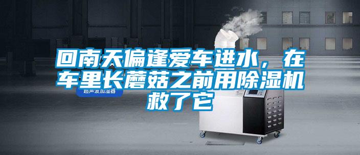 回南天偏逢愛車進水，在車里長蘑菇之前用除濕機救了它