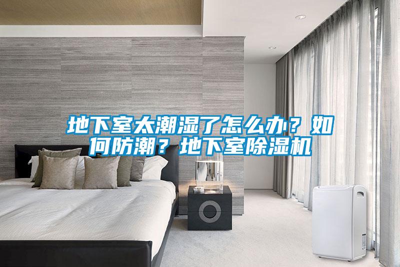 地下室太潮濕了怎么辦？如何防潮？地下室除濕機