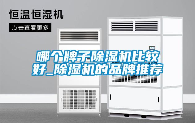 哪個牌子除濕機比較好_除濕機的品牌推薦