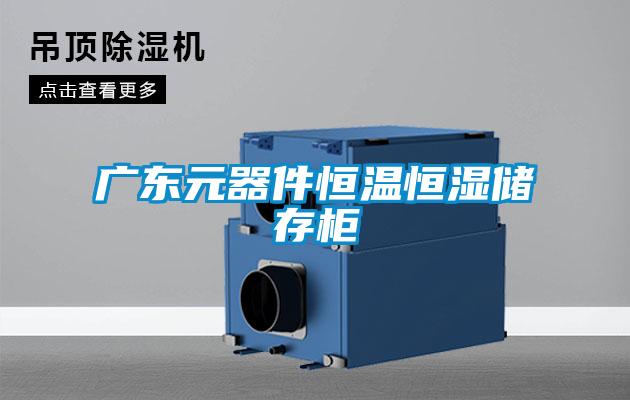 廣東元器件恒溫恒濕儲(chǔ)存柜