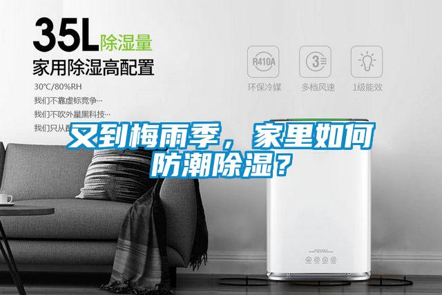 又到梅雨季，家里如何防潮除濕？