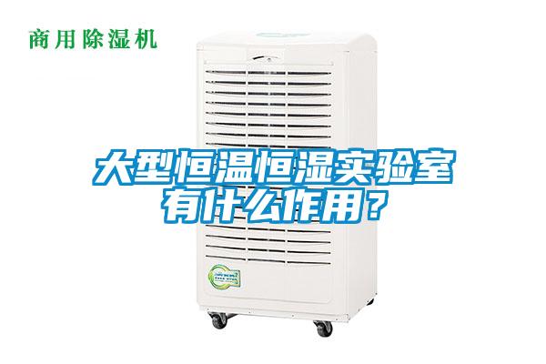 大型恒溫恒濕實(shí)驗(yàn)室有什么作用？
