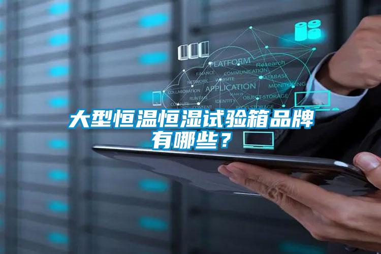 大型恒溫恒濕試驗(yàn)箱品牌有哪些？