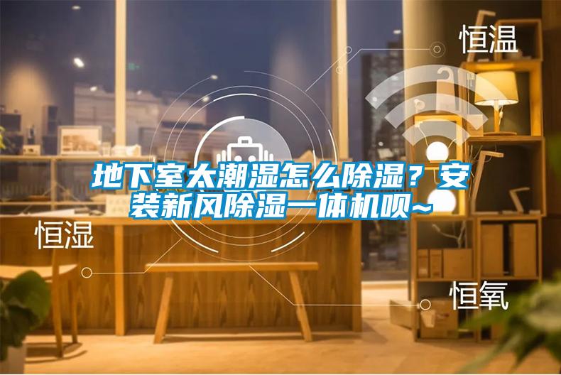 地下室太潮濕怎么除濕？安裝新風除濕一體機唄~