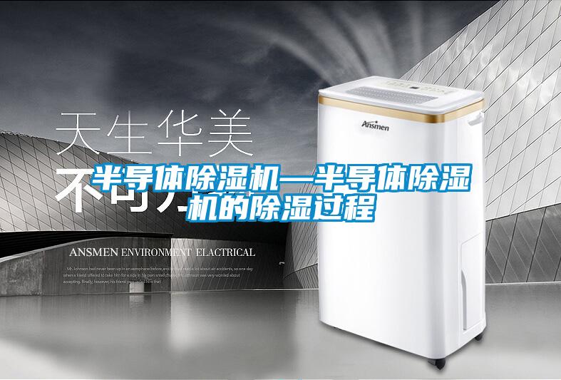 半導(dǎo)體除濕機—半導(dǎo)體除濕機的除濕過程