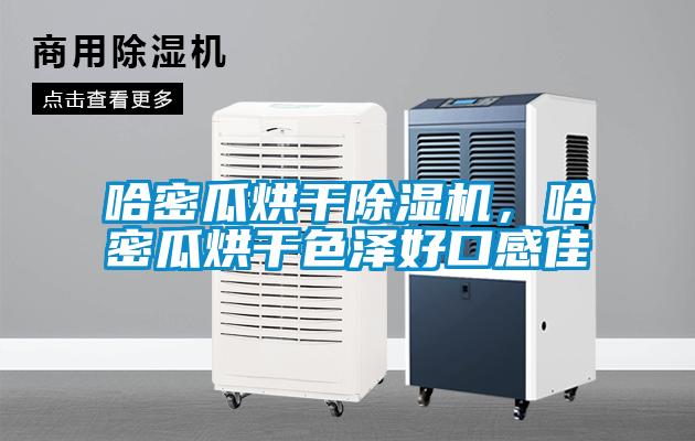 哈密瓜烘干除濕機，哈密瓜烘干色澤好口感佳