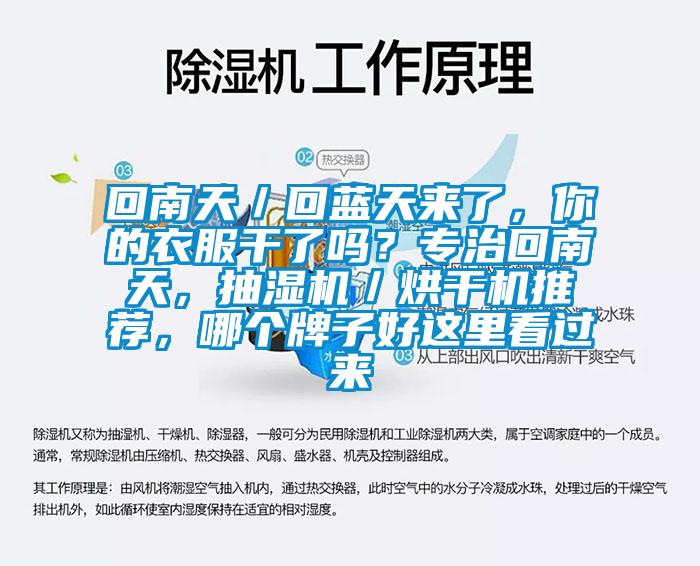 回南天／回藍(lán)天來了，你的衣服干了嗎？專治回南天，抽濕機(jī)／烘干機(jī)推薦，哪個(gè)牌子好這里看過來