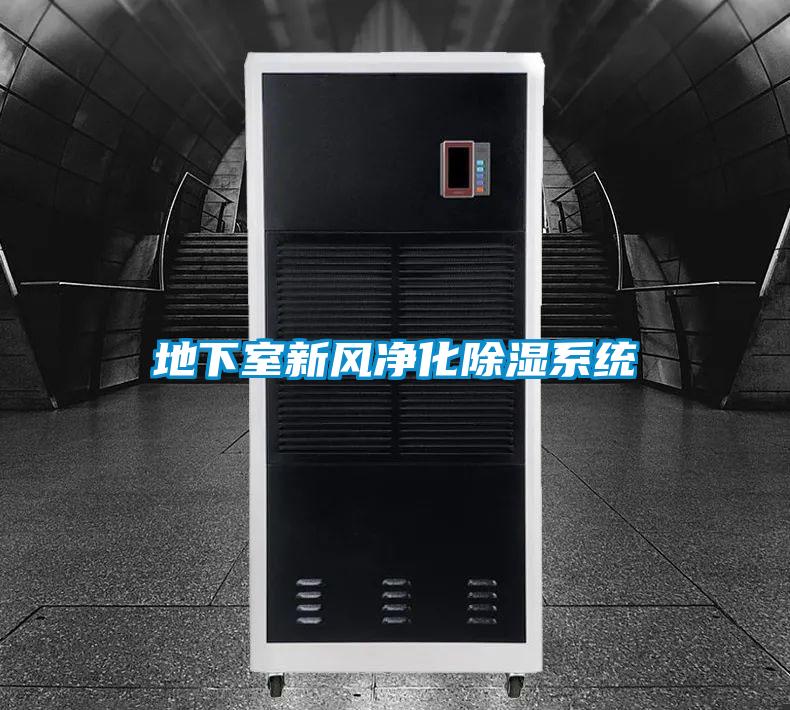 地下室新風凈化除濕系統