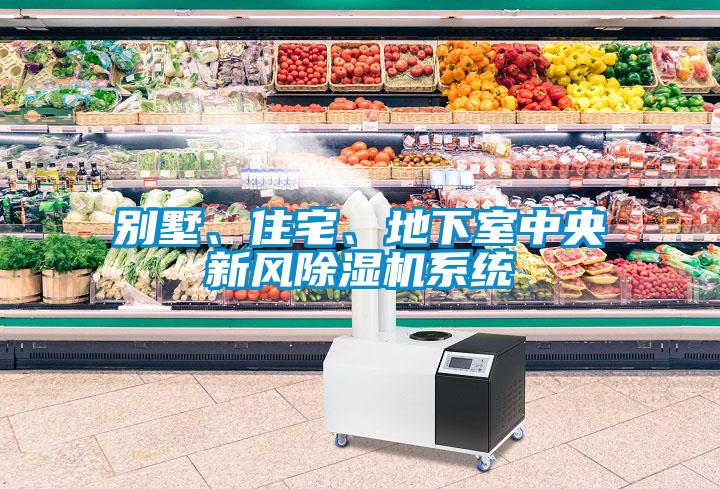 別墅、住宅、地下室中央新風(fēng)除濕機系統(tǒng)
