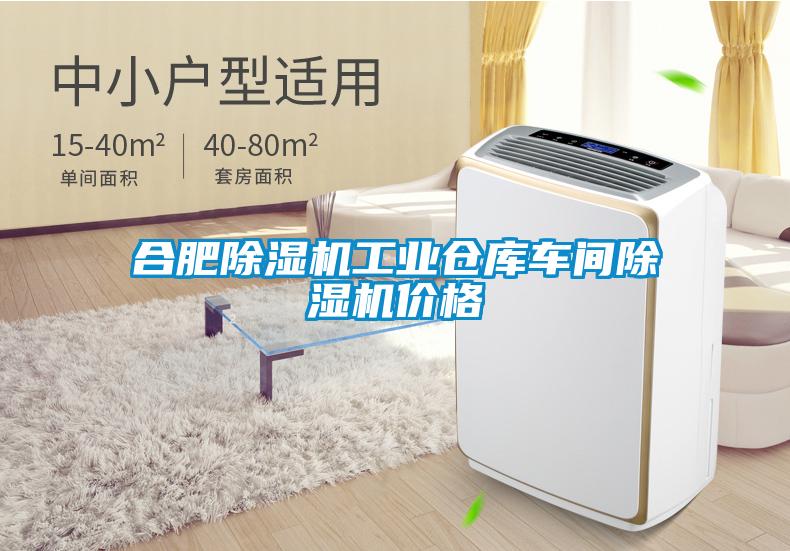 合肥除濕機工業倉庫車間除濕機價格