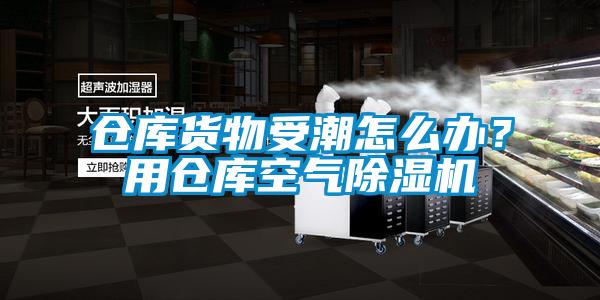 倉(cāng)庫(kù)貨物受潮怎么辦？用倉(cāng)庫(kù)空氣除濕機(jī)