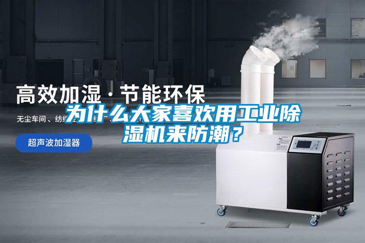 為什么大家喜歡用工業除濕機來防潮？