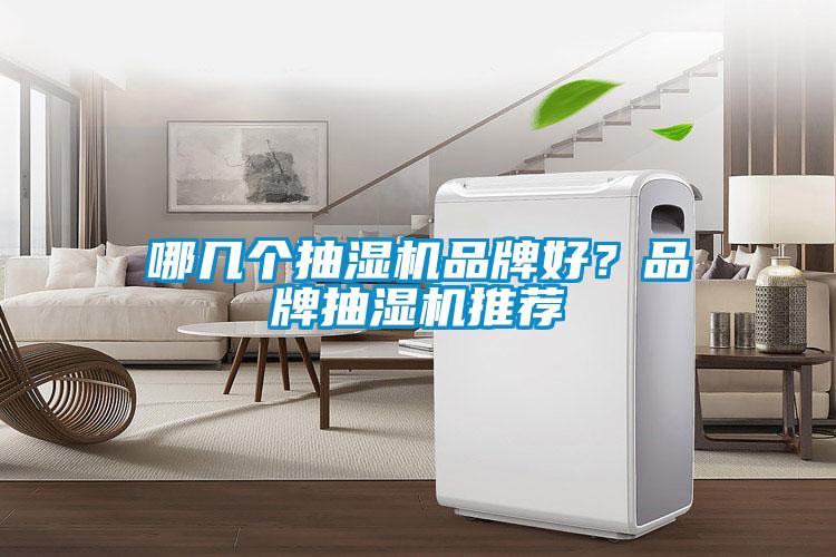 哪幾個(gè)抽濕機(jī)品牌好？品牌抽濕機(jī)推薦
