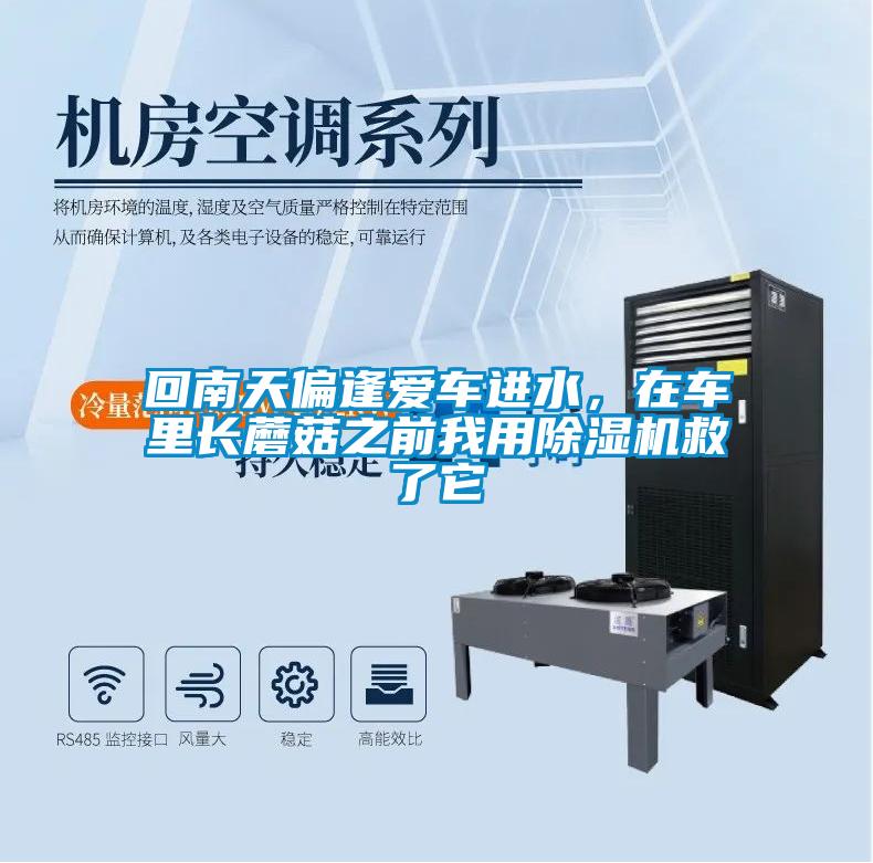 回南天偏逢愛車進(jìn)水，在車?yán)镩L蘑菇之前我用除濕機(jī)救了它