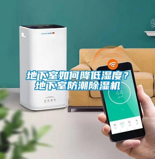 地下室如何降低濕度？地下室防潮除濕機(jī)